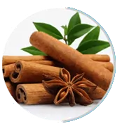 Cinnamomum cassia