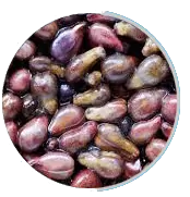 Grape Seed Extract