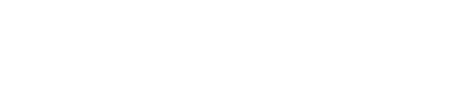 Neuro Serge Logo